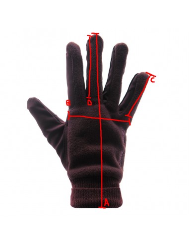 Manusi Harry Hall polar L