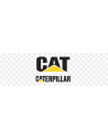 Caterpillar